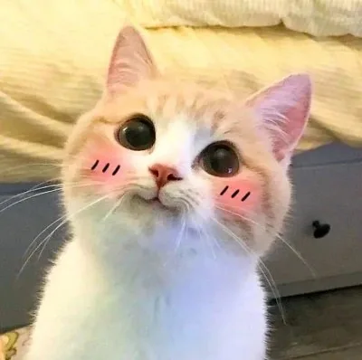 meme ngại đỏ mặt