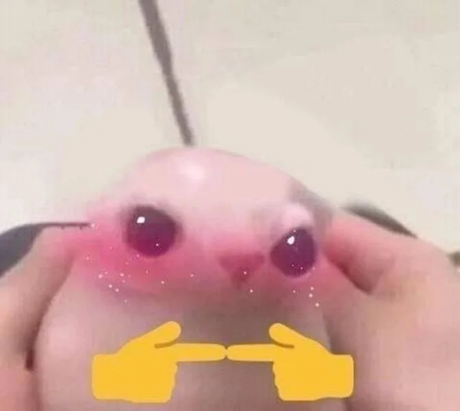 meme ngại ngùng