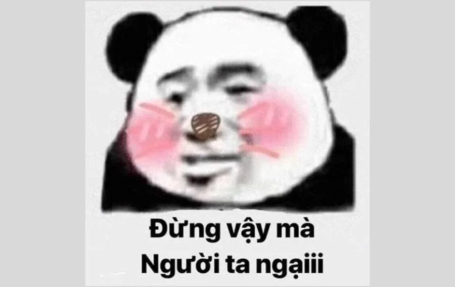 meme ngại quá