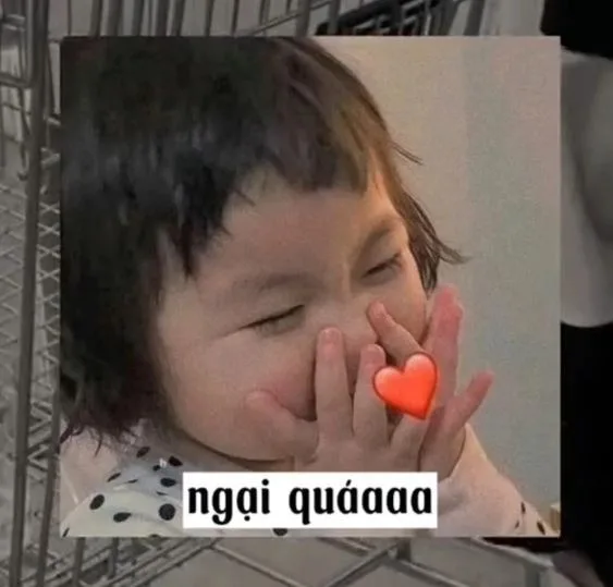 meme ngại che mặt