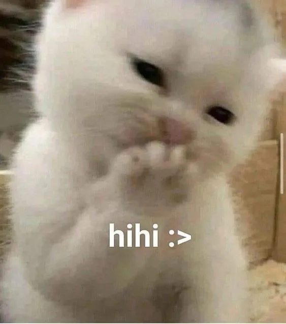 meme ngại che mặt