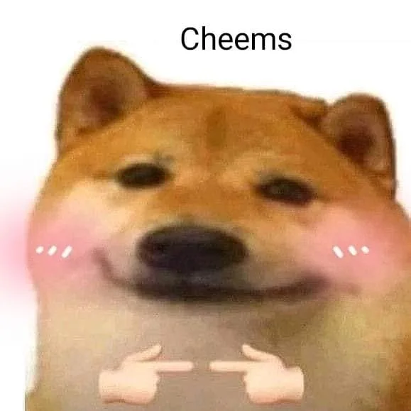 meme ngại ngùng