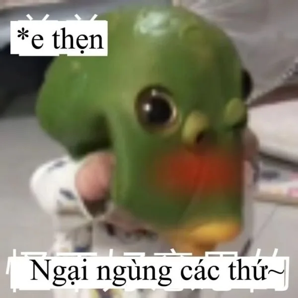 meme ngại quá