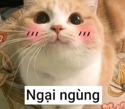 meme ngại quá