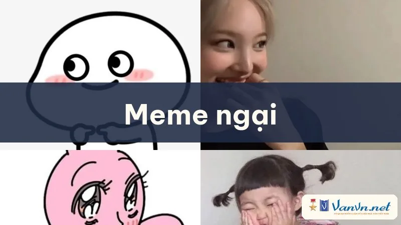 meme ngại