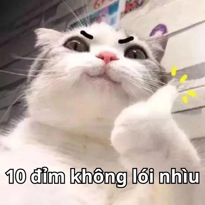 meme ngầu lòi