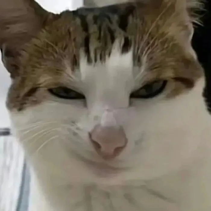 meme ngầu lòi