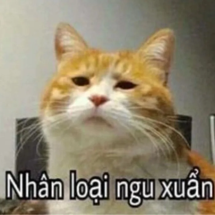 meme ngầu lòi