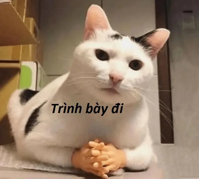 meme ngầu lòi