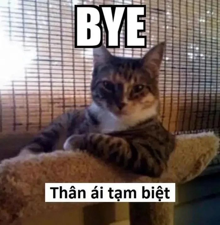meme ngầu lòi
