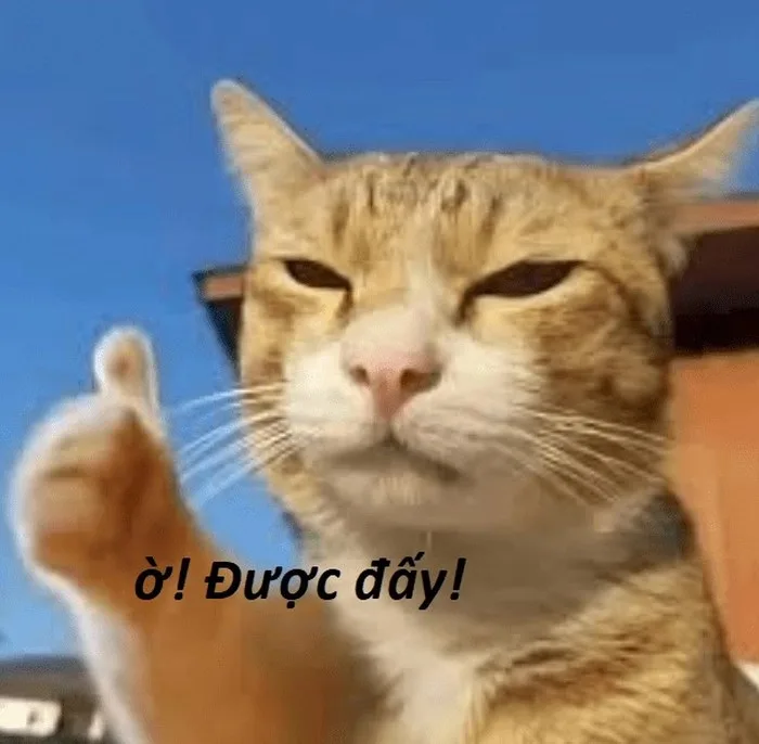 meme ngầu lòi