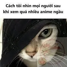 meme ngầu hài