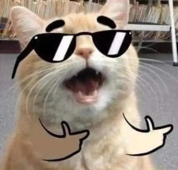 meme ngầu đeo kính