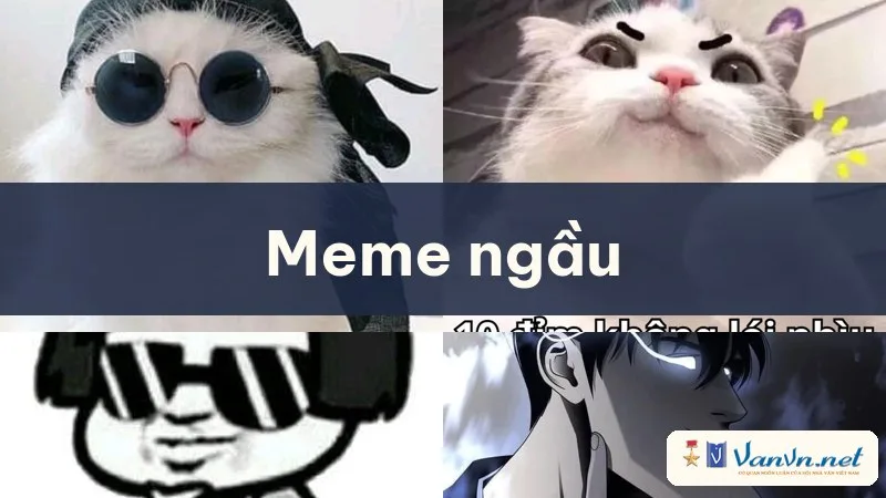 meme ngầu