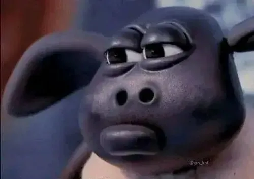 ảnh meme nghi ngờ