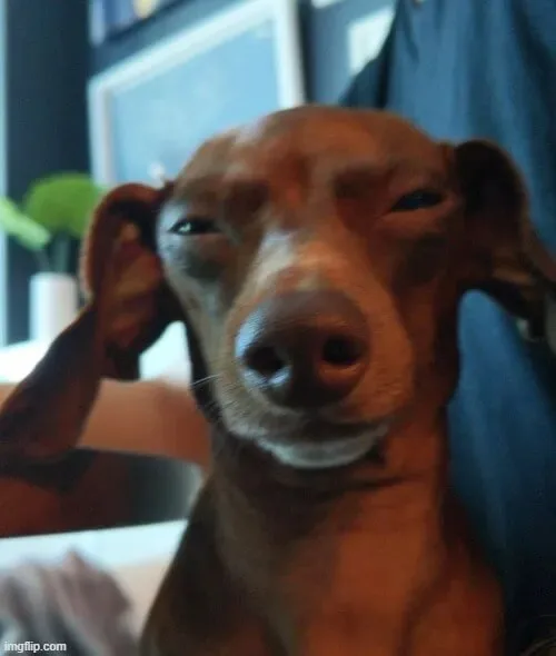 ảnh meme nghi ngờ