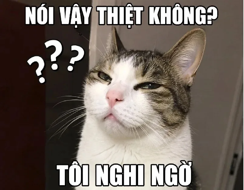 meme nghi ngờ nhân sinh