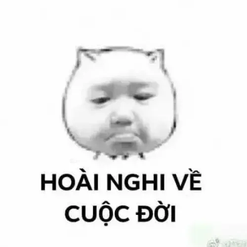 meme nghi ngờ nhân sinh