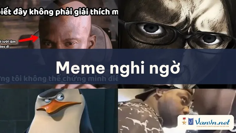 meme nghi ngờ