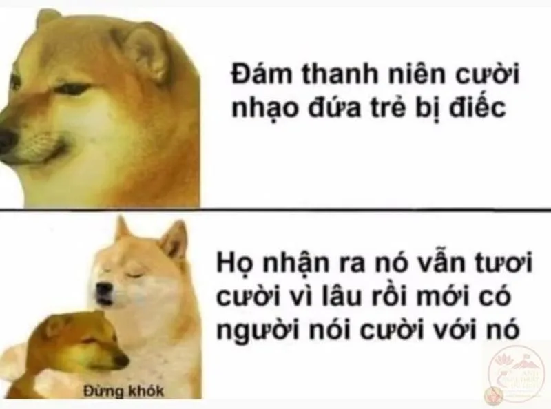 meme nhân văn quá