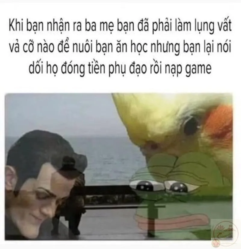 meme nhân văn buồn