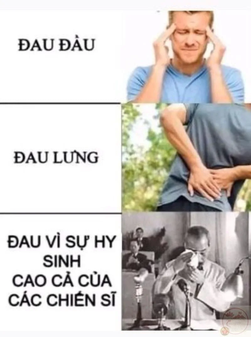 meme nhân văn quá