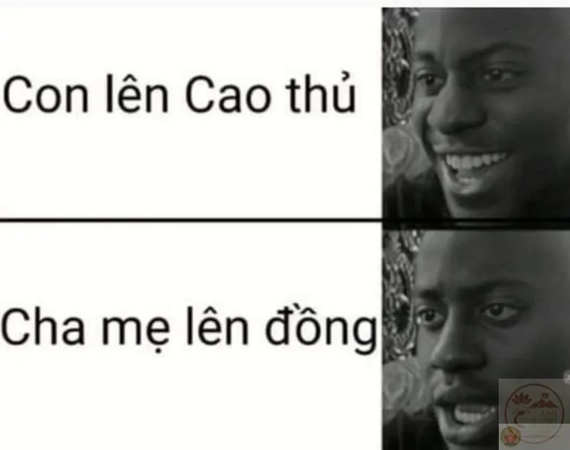 meme nhân văn quá