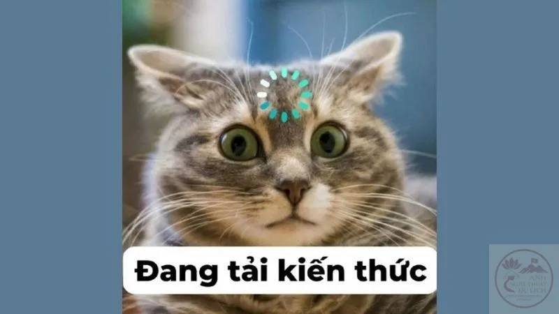 ảnh meme nhân văn