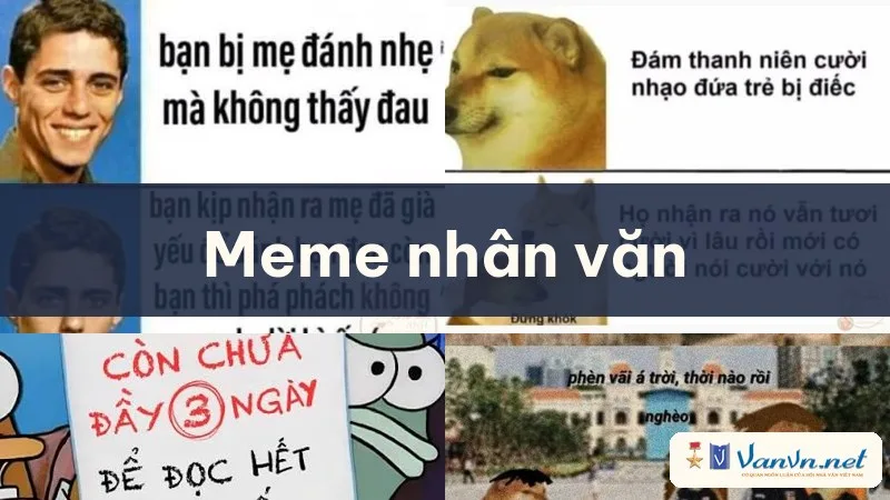meme nhân văn