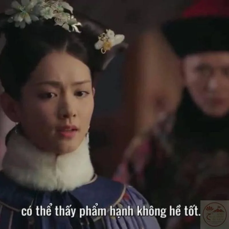 meme cảnh cung đấu như ý truyện