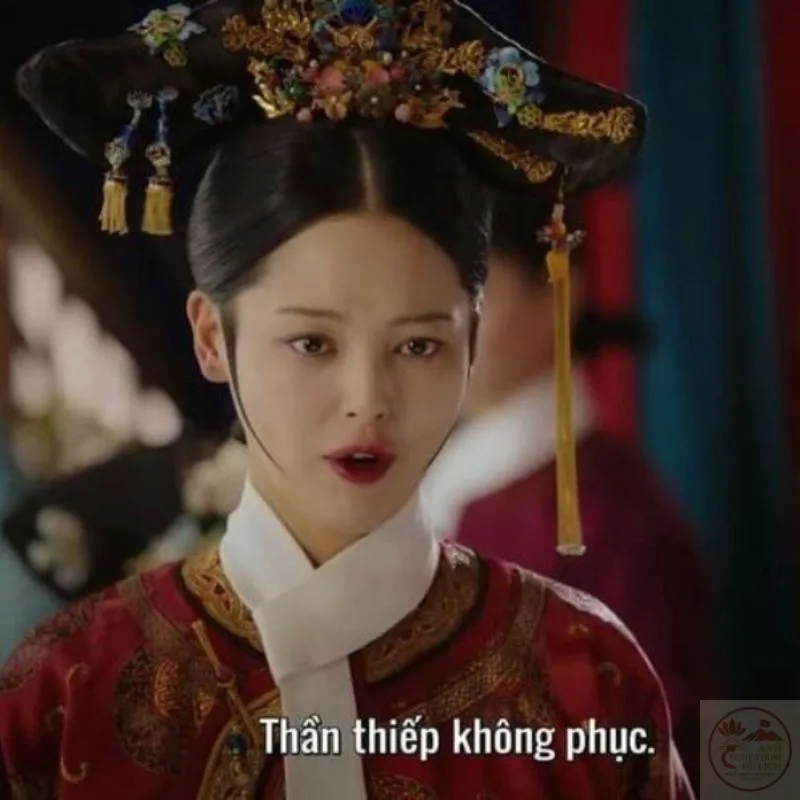 meme cảnh cung đấu như ý truyện