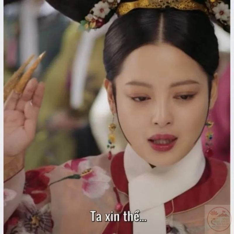 meme cảnh cung đấu như ý truyện