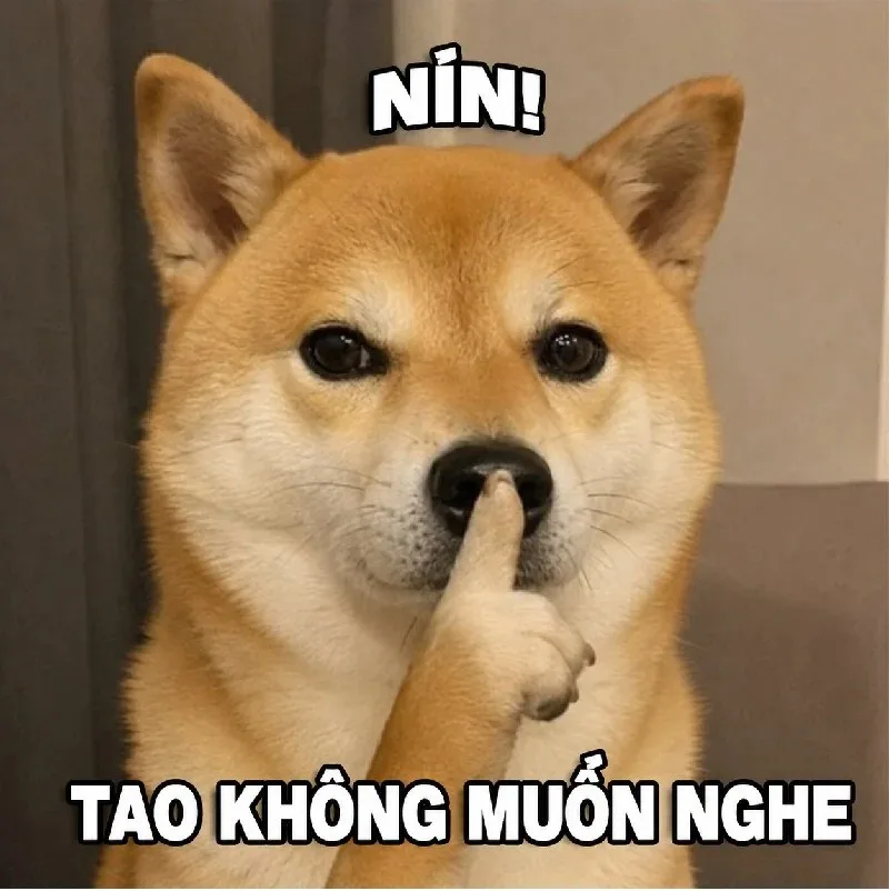 meme im lặng