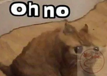 meme no reaction