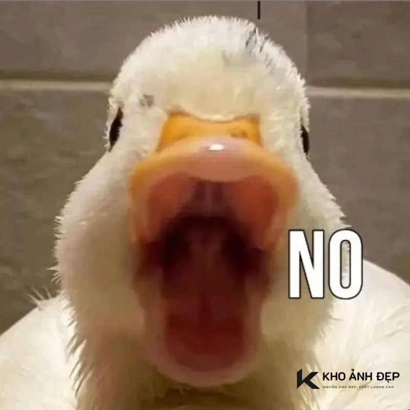 meme no screaming