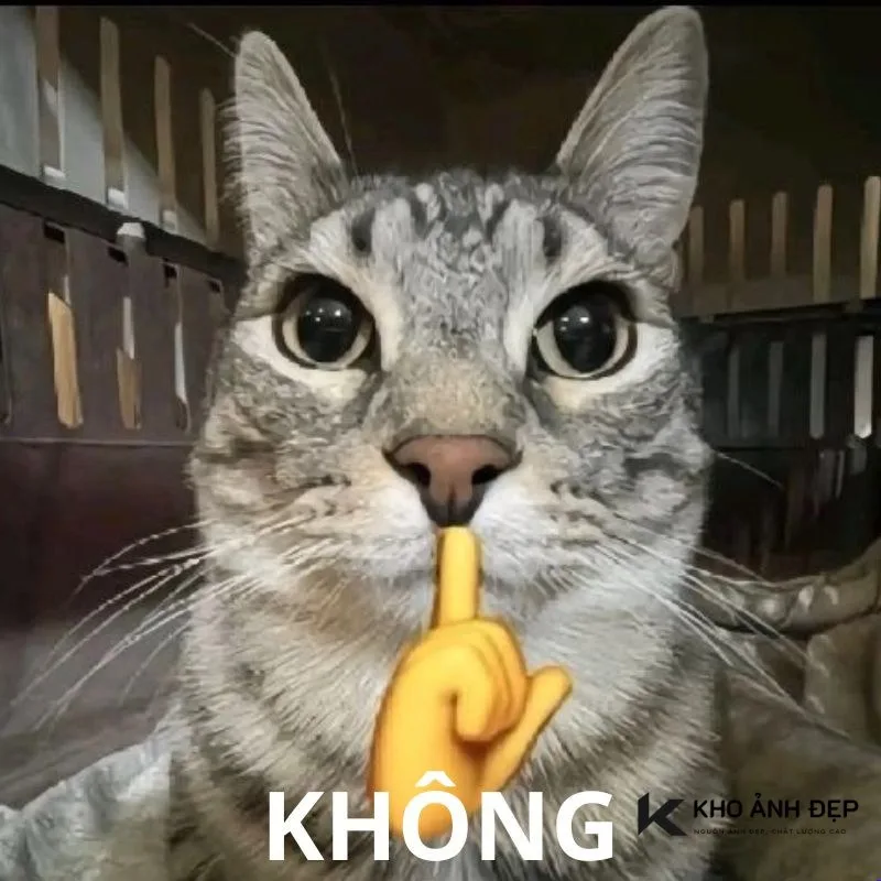 meme no reaction