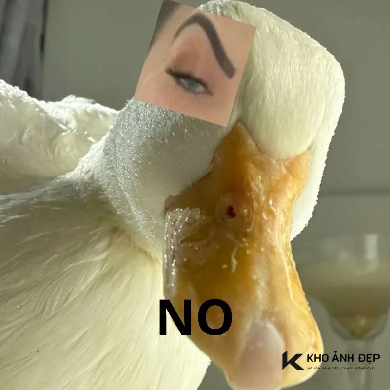 meme no reaction