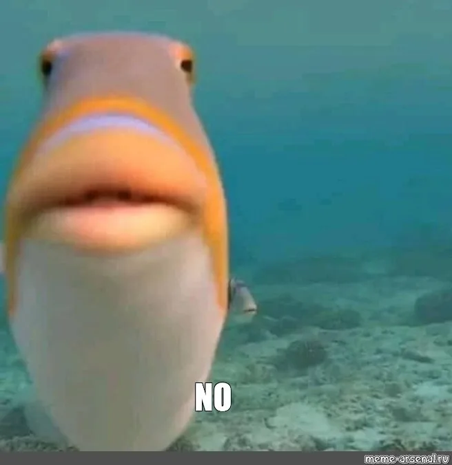 meme no reaction