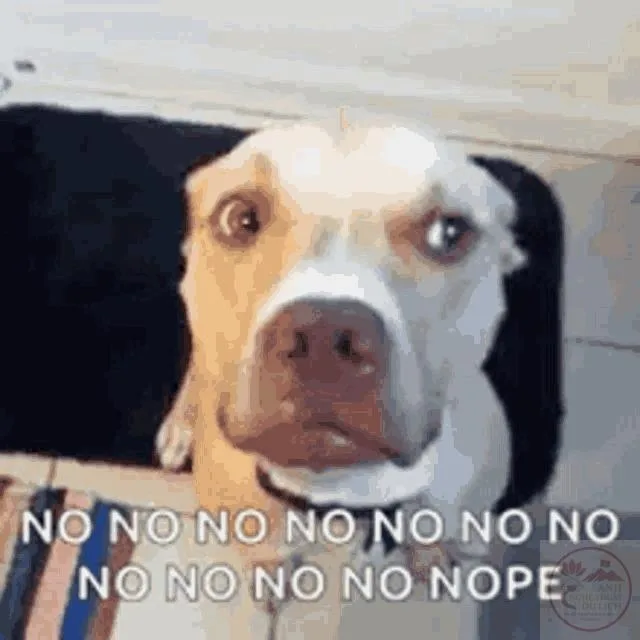 meme no no no