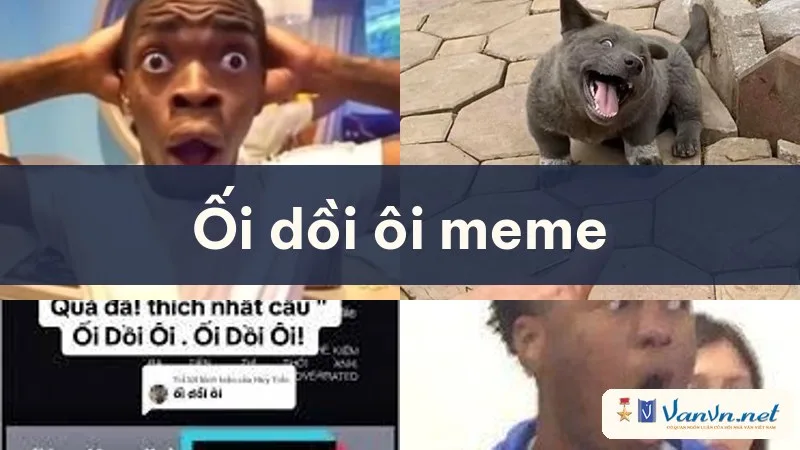 ối dồi ôi meme