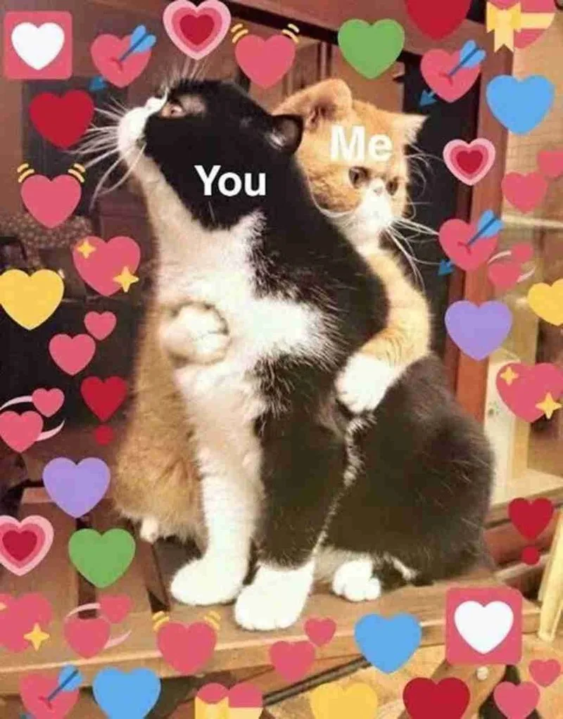 meme ôm nhau cute
