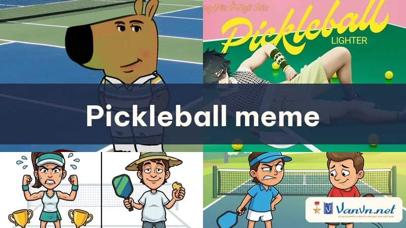 pickleball meme