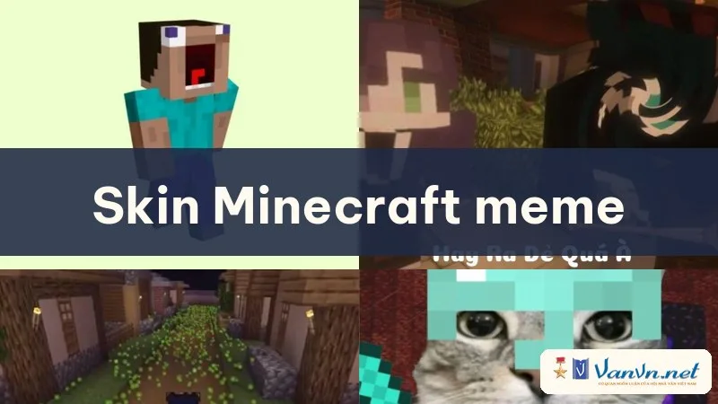 skin minecraft meme