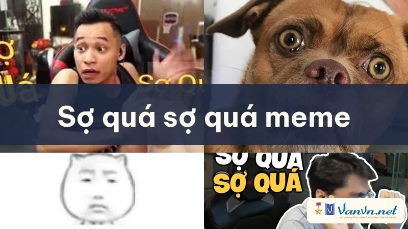 sợ quá sợ quá meme