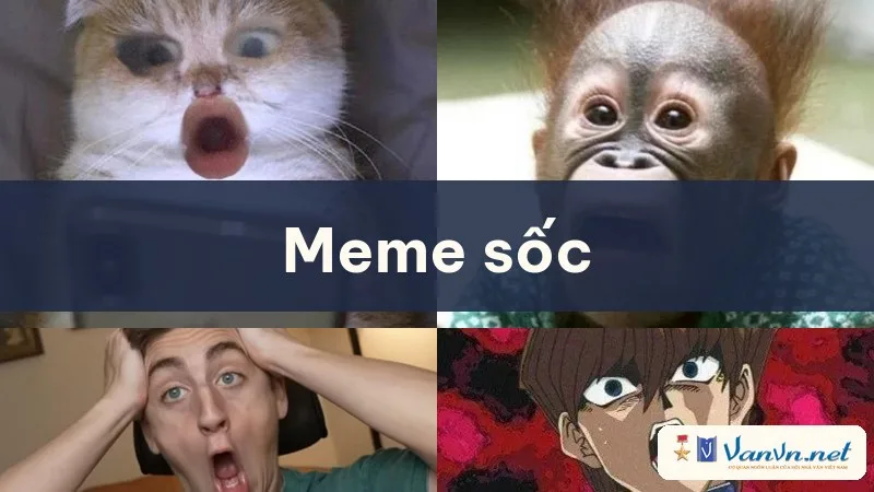 meme sốc