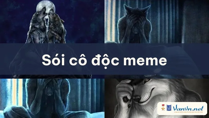 sói cô độc meme