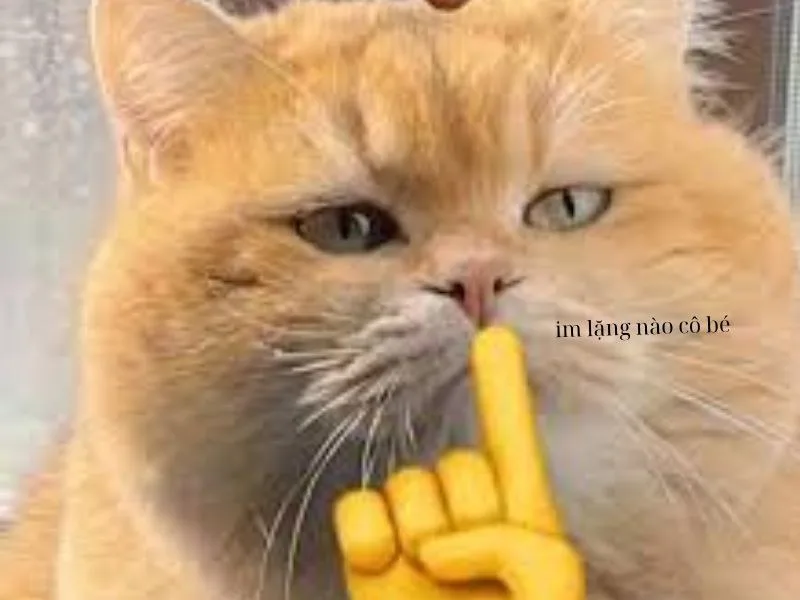 meme suỵt