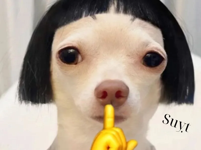 meme suỵt