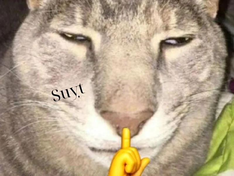 meme suỵt