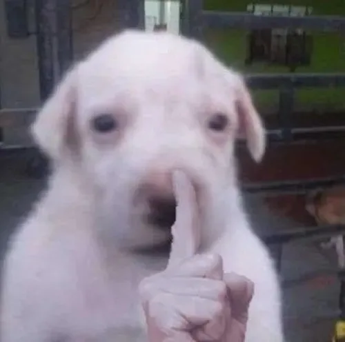 meme suỵt